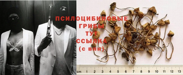 мет Алзамай